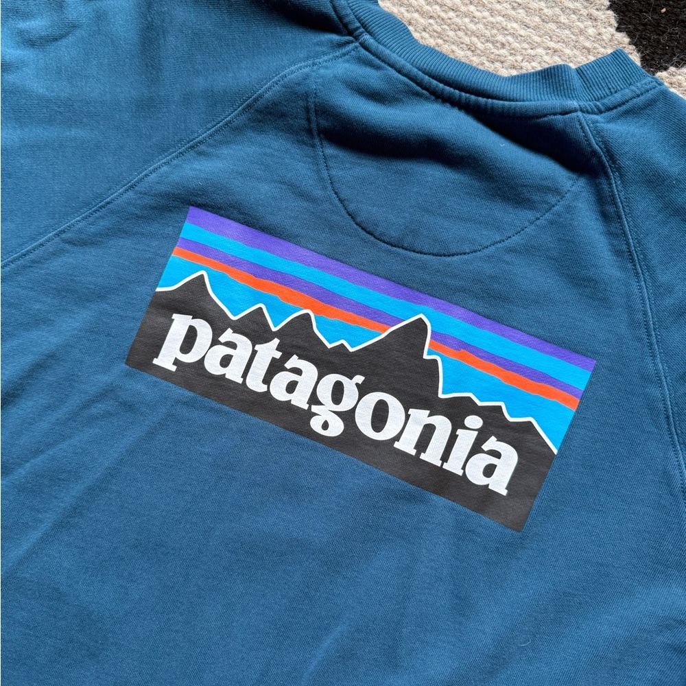 Patagonia Blue Crewneck Sweatshirt